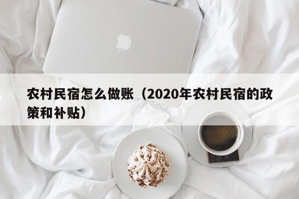 农村民宿怎么做账(2020年农村民宿的政策和补贴)