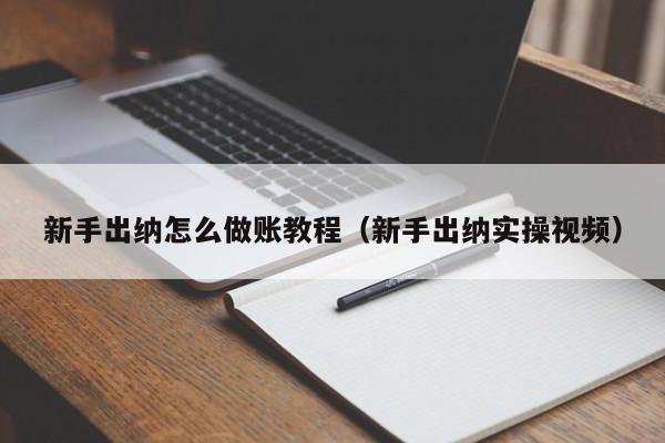 新手出纳怎么做账教程(新手出纳实操视频)