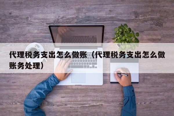 代理税务支出怎么做账(代理税务支出怎么做账务处理)