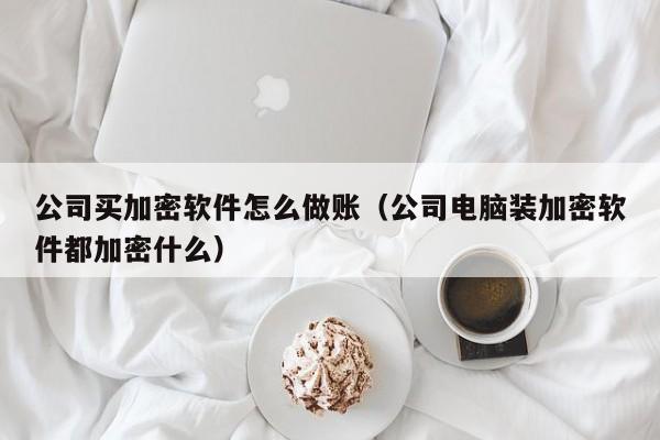 公司买加密软件怎么做账(公司电脑装加密软件都加密什么)