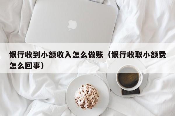 银行收到小额收入怎么做账(银行收取小额费怎么回事)
