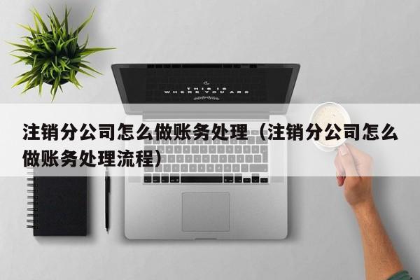 注销分公司怎么做账务处理(注销分公司怎么做账务处理流程)