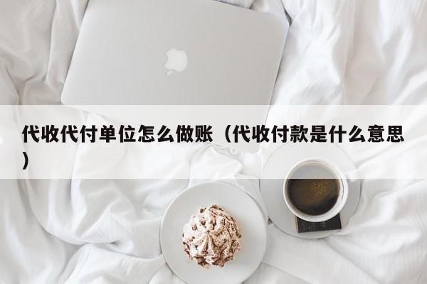 代收代付单位怎么做账(代收付款是什么意思)