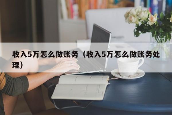 收入5万怎么做账务(收入5万怎么做账务处理)