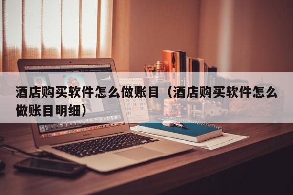 酒店购买软件怎么做账目(酒店购买软件怎么做账目明细)