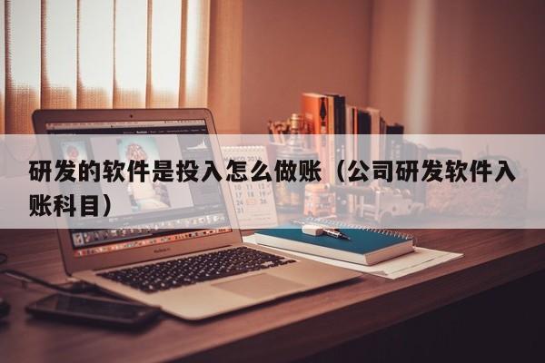 研发的软件是投入怎么做账(公司研发软件入账科目)