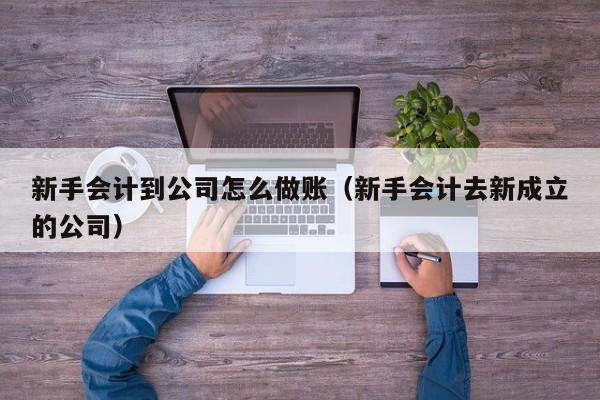 新手会计到公司怎么做账(新手会计去新成立的公司)