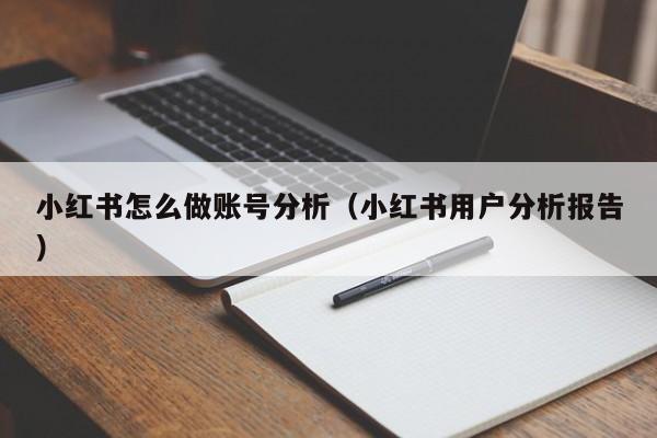 小红书怎么做账号分析(小红书用户分析报告)