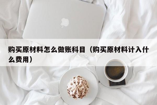 购买原材料怎么做账科目(购买原材料计入什么费用)