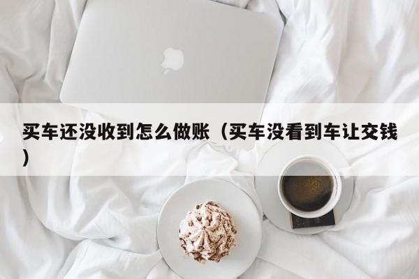 买车还没收到怎么做账(买车没看到车让交钱)