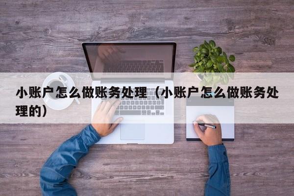 小账户怎么做账务处理(小账户怎么做账务处理的)