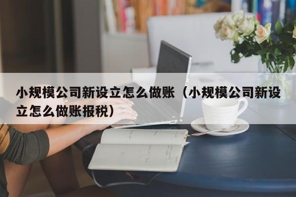 小规模公司新设立怎么做账(小规模公司新设立怎么做账报税)