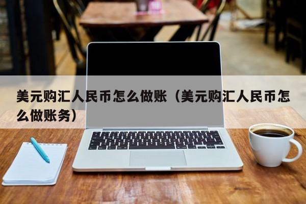 美元购汇人民币怎么做账(美元购汇人民币怎么做账务)