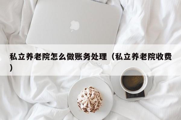私立养老院怎么做账务处理(私立养老院收费)