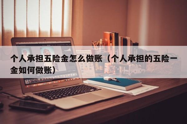 个人承担五险金怎么做账(个人承担的五险一金如何做账)