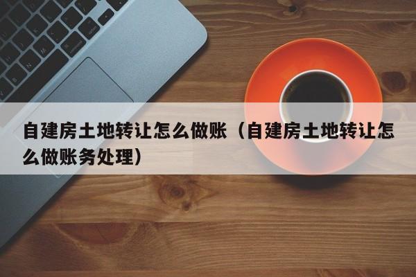 自建房土地转让怎么做账(自建房土地转让怎么做账务处理)