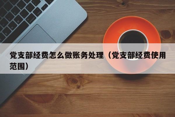 党支部经费怎么做账务处理(党支部经费使用范围)