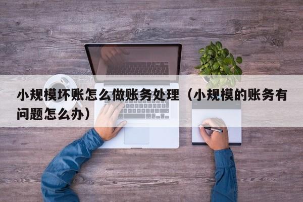 小规模坏账怎么做账务处理(小规模的账务有问题怎么办)