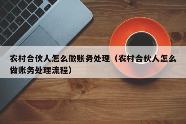 农村合伙人怎么做账务处理(农村合伙人怎么做账务处理流程)