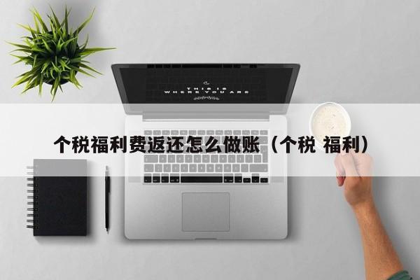 个税福利费返还怎么做账(个税 福利)