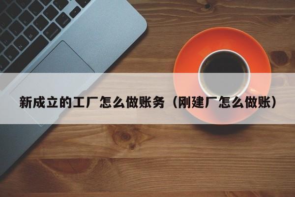 新成立的工厂怎么做账务(刚建厂怎么做账)