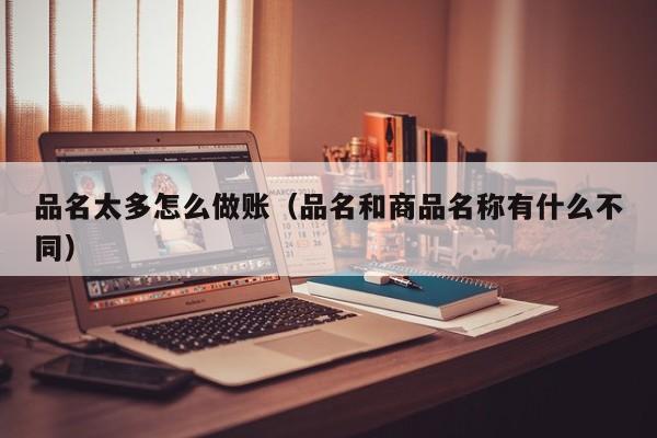 品名太多怎么做账(品名和商品名称有什么不同)