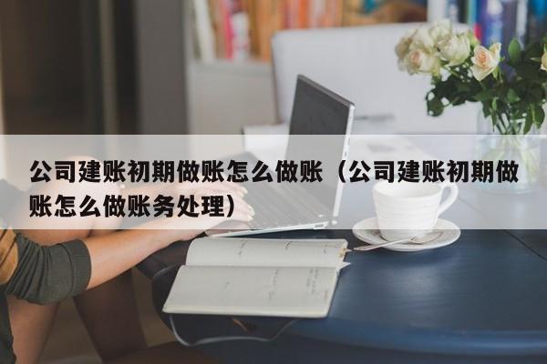 公司建账初期做账怎么做账(公司建账初期做账怎么做账务处理)
