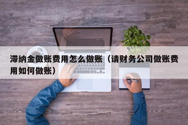 滞纳金做账费用怎么做账(请财务公司做账费用如何做账)