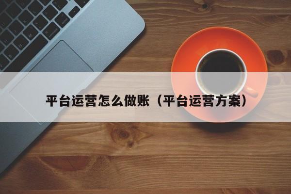 平台运营怎么做账(平台运营方案)