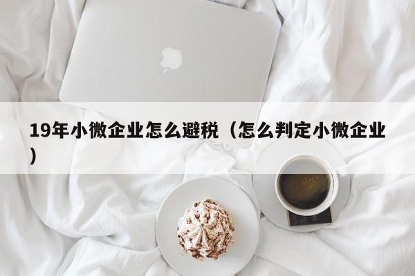 19年小微企业怎么避税(怎么判定小微企业)