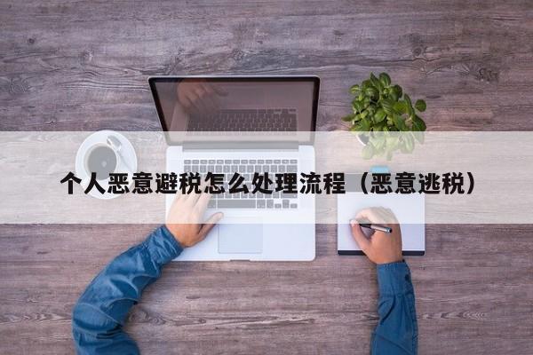 个人恶意避税怎么处理流程(恶意逃税)