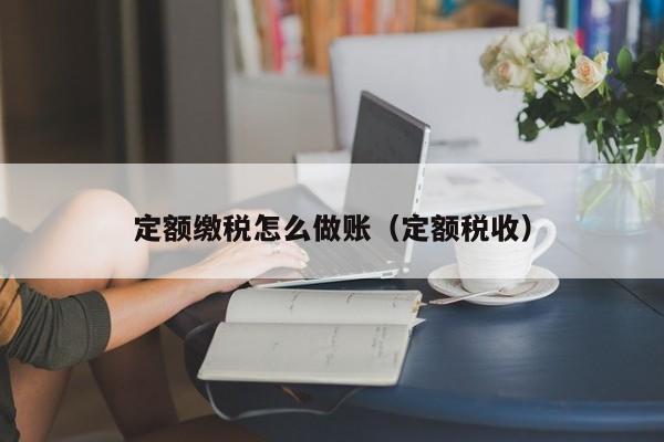 定额缴税怎么做账(定额税收)
