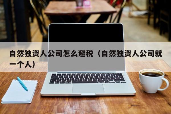 自然独资人公司怎么避税(自然独资人公司就一个人)