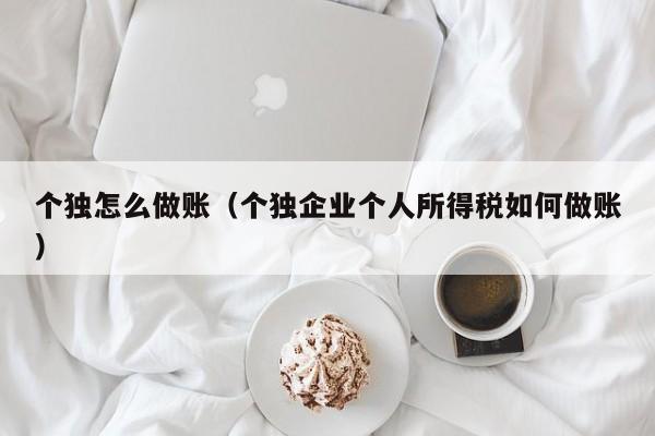 个独怎么做账(个独企业个人所得税如何做账)