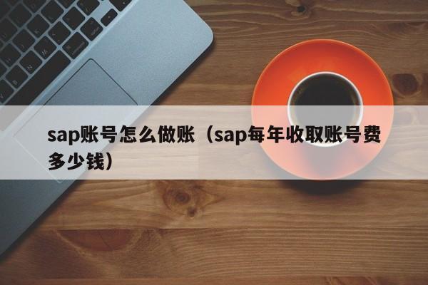 sap账号怎么做账(sap每年收取账号费多少钱)
