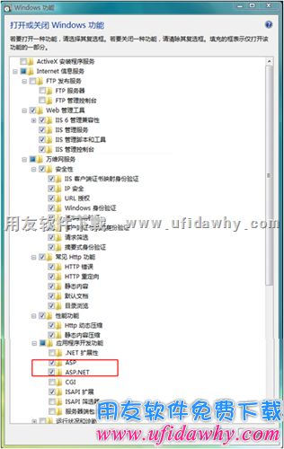 勾选ASP和ASP.NET，CGI等图示