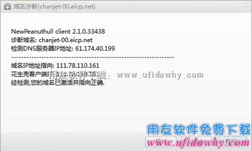 查看T+域名解析情况图示