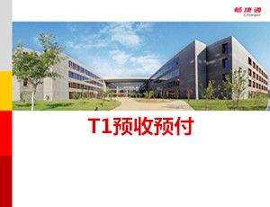 用友T1预收预付操作教程_T1商贸宝V12.0视频教学课件