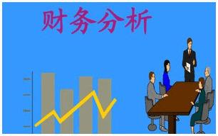 财务报表分析