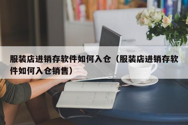 服装店进销存软件如何入仓(服装店进销存软件如何入仓销售)