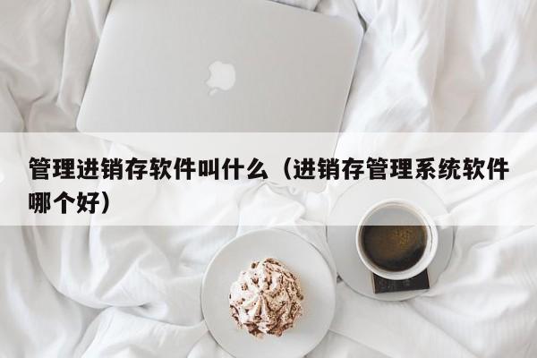 管理进销存软件叫什么(进销存管理系统软件哪个好)