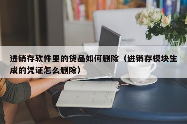 进销存软件里的货品如何删除(进销存模块生成的凭证怎么删除)