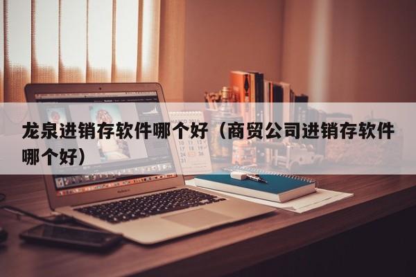 龙泉进销存软件哪个好(商贸公司进销存软件哪个好)