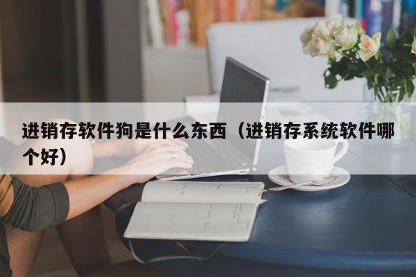 进销存软件狗是什么东西(进销存系统软件哪个好)