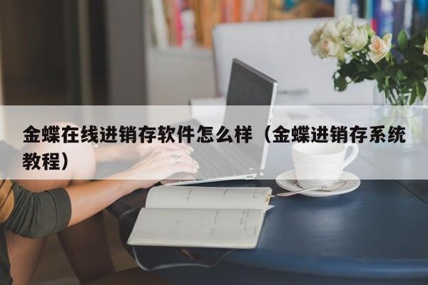 金蝶在线进销存软件怎么样(金蝶进销存系统教程)