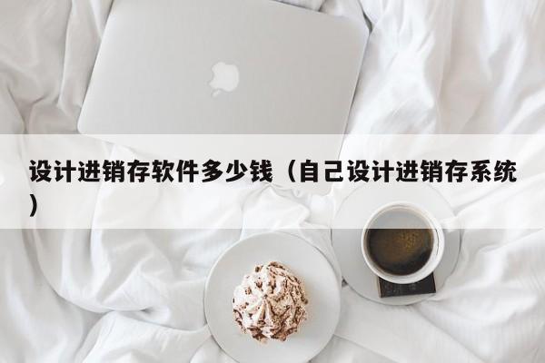 设计进销存软件多少钱(自己设计进销存系统)