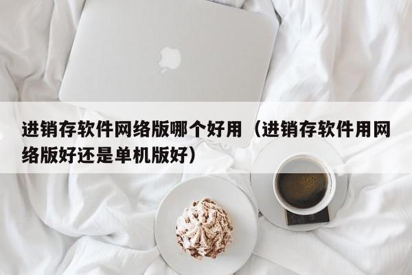 进销存软件网络版哪个好用(进销存软件用网络版好还是单机版好)