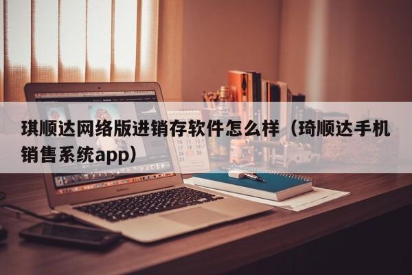 琪顺达网络版进销存软件怎么样(琦顺达手机销售系统app)