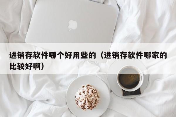 进销存软件哪个好用些的(进销存软件哪家的比较好啊)