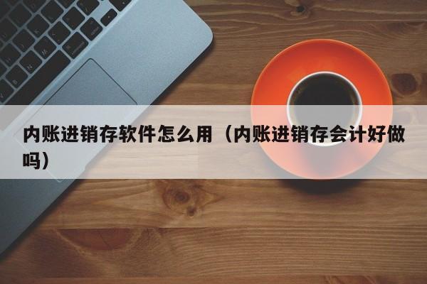 内账进销存软件怎么用(内账进销存会计好做吗)